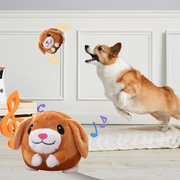 Bouncy Buddy™